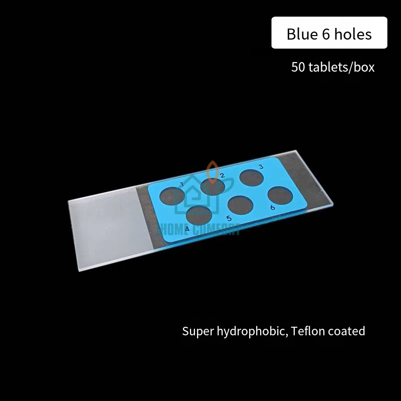 Immunofluorescence in Situ Hybridization Slide