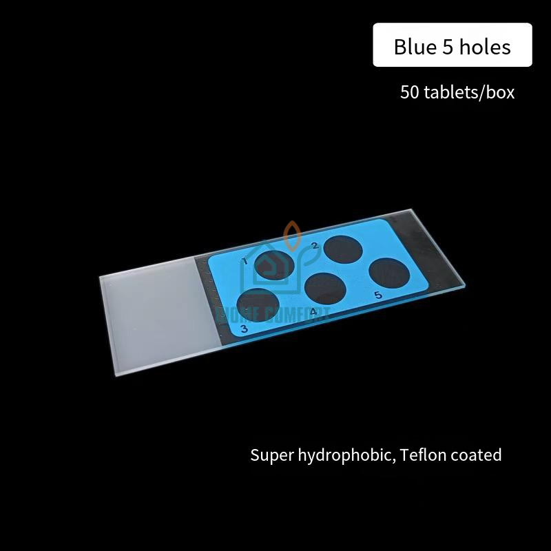 Immunofluorescence in Situ Hybridization Slide