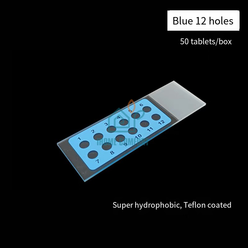 Immunofluorescence in Situ Hybridization Slide