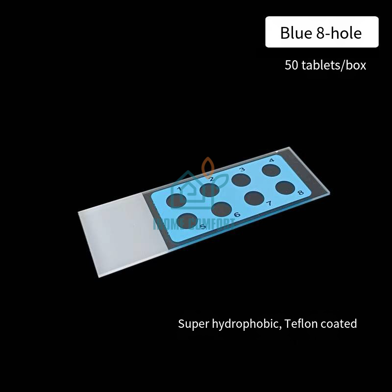 Immunofluorescence in Situ Hybridization Slide