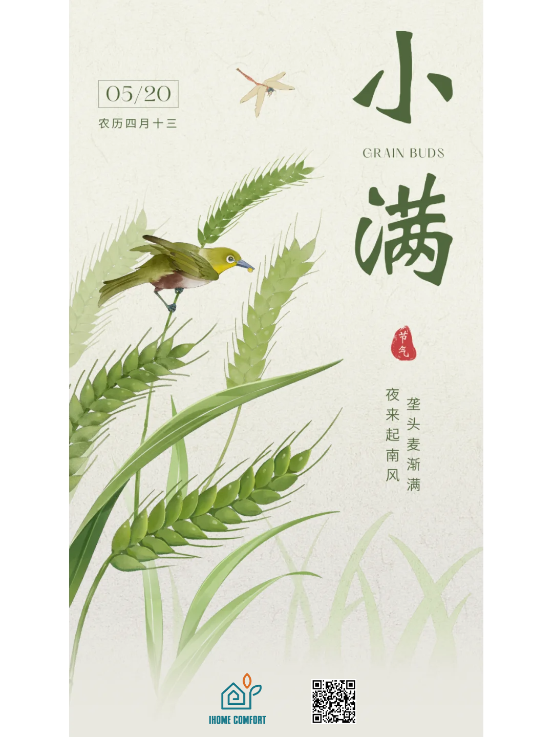 Grain Buds