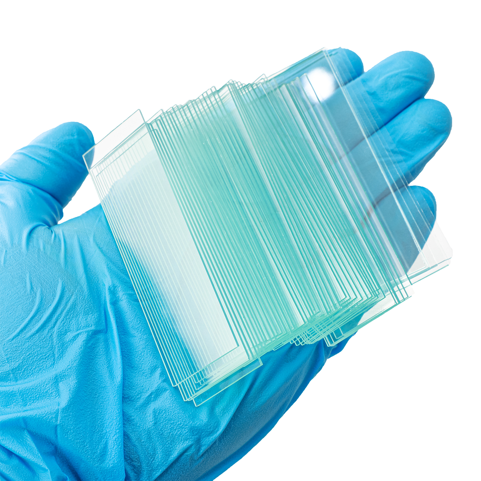 Microscope Slide