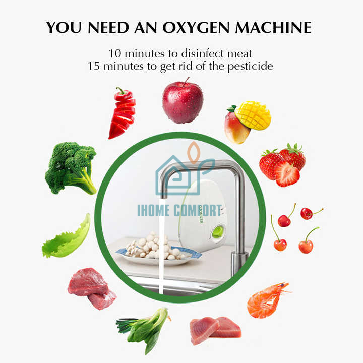 Kitchen Application Portable Multifunctional Water Purifier Household Ozone Generator for Vegetables and Fruits