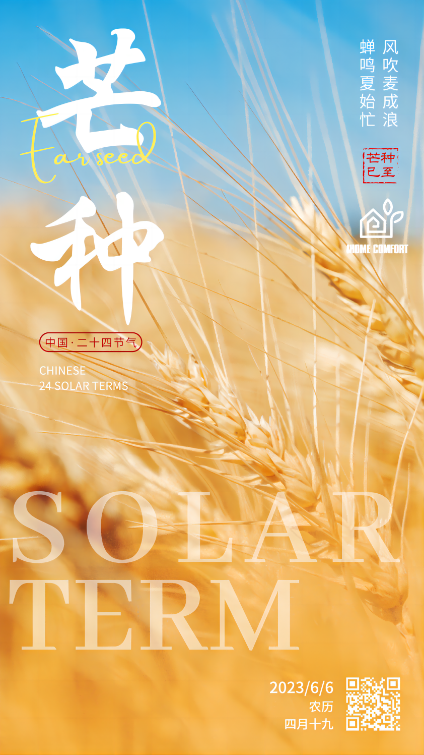 Embrace Summer with Health and Happiness - The Arrival of Mang Zhong~