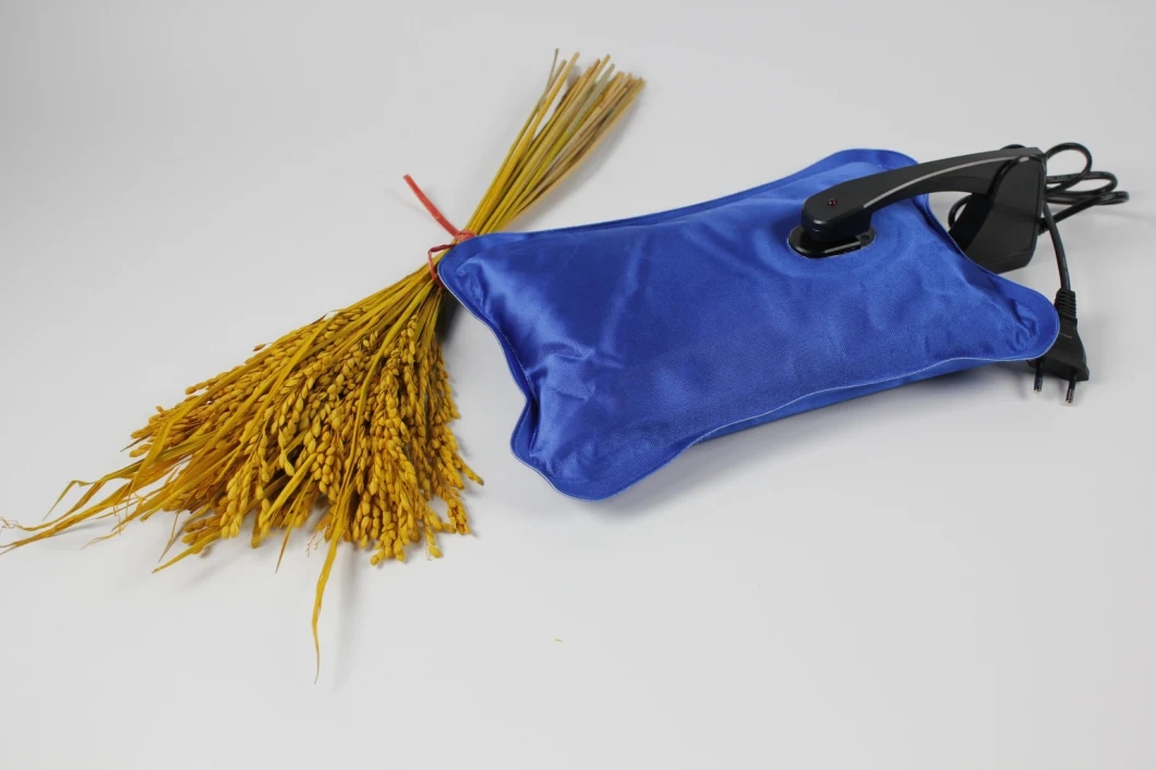 China-Factory-Wholesale-Price-Electric-Hot-Water-Bag-Rechargeable-with-Cover-for-Winter-Warming.webp (2)