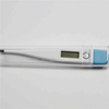 Digital Thermometer