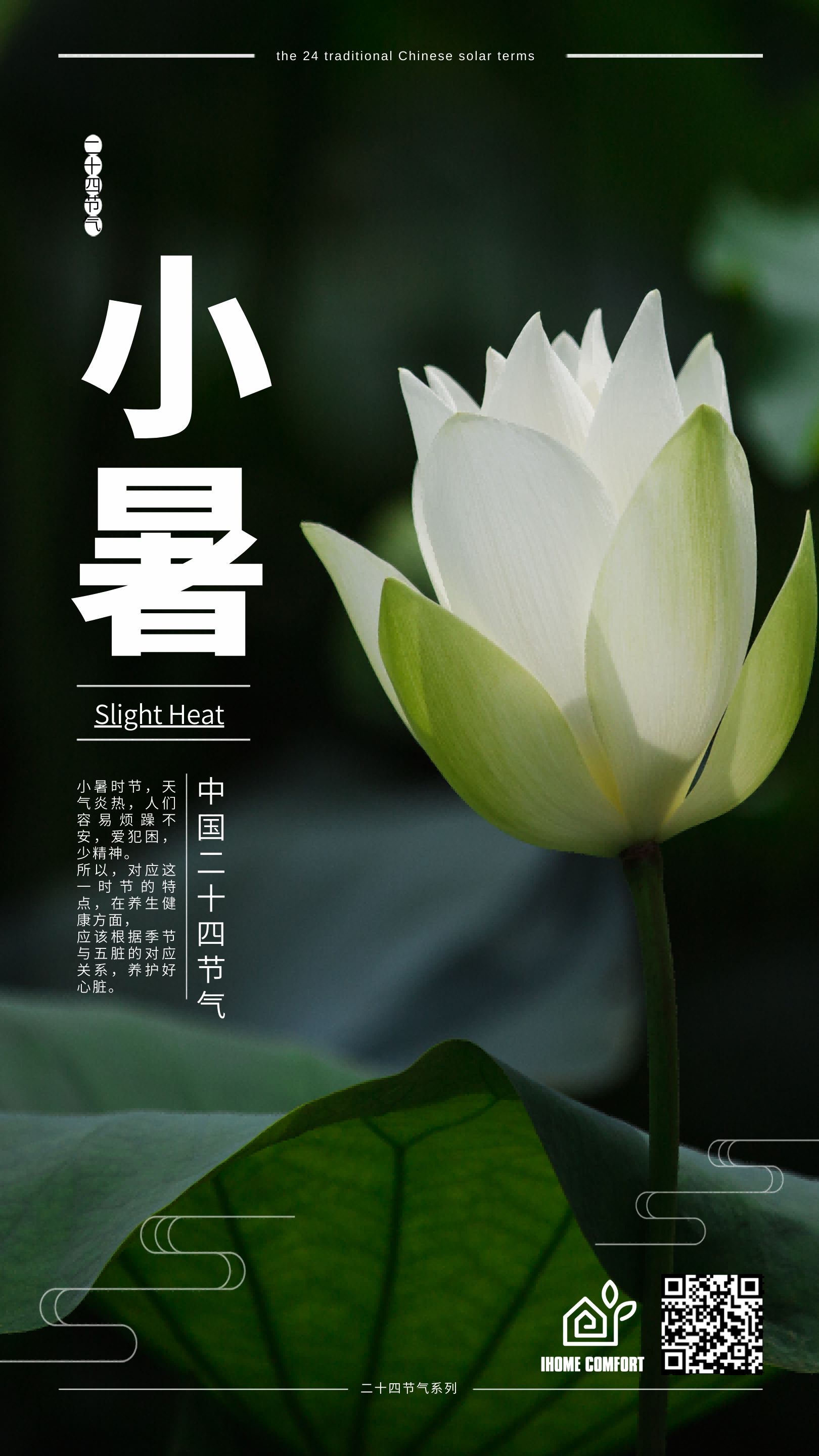"Xiaoshu: Embracing the Arrival of Summer Heat"