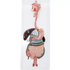 Biology Medical Human Digestive System Model Circulatory System Model