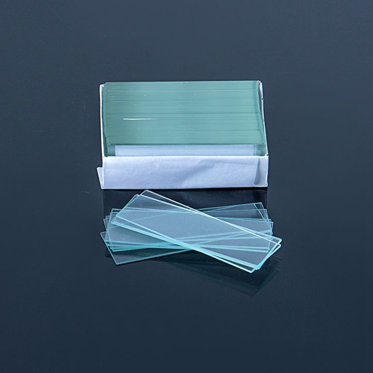 Microscope Slide